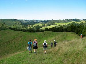 Image of tn_hbmoirshillmar08hbtrack.jpg