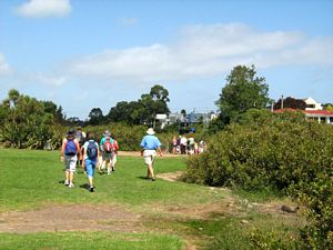 Image of tn_hdwesternsprings08bmtrack.jpg