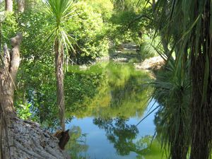 Image of tn_hdwesternsprings08dcstream.jpg