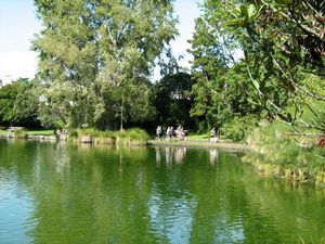 Image of tn_hdwesternsprings08fllake.jpg