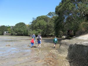 Image of tn_hernebay08bdtrack.jpg