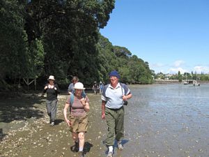 Image of tn_hernebay08cbwalk.jpg