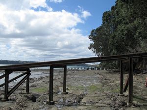 Image of tn_hernebay08cccoast.jpg