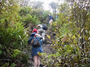 Image of tn_ifpirongiaapr08c.jpg