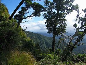 Image of tn_ifpirongiaapr08e.jpg