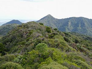 Image of tn_ifpirongiaapr08h.jpg