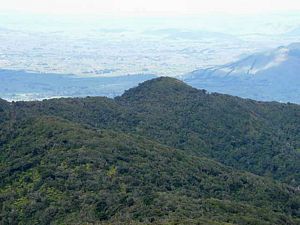 Image of tn_ifpirongiaapr08i.jpg