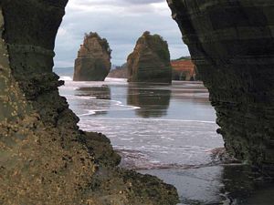 Image of tn_iynorthtaranaki08packcarryc.jpg