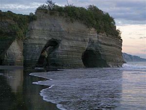 Image of tn_iynorthtaranaki08packcarryd.jpg