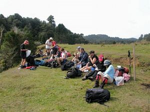 Image of tn_iznorthtaranakiapr08e.jpg