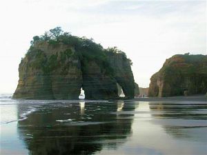 Image of tn_iznorthtaranakiapr08g.jpg