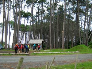 Image of tn_jamuriwaimay08bastartoffirstwalk.jpg