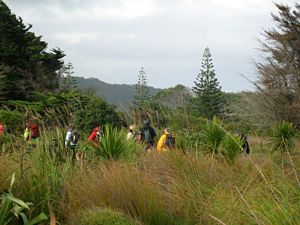 Image of tn_jamuriwaimay08dgtrack.jpg