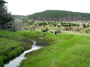 Image of tn_jamuriwaimay08fbstream.jpg