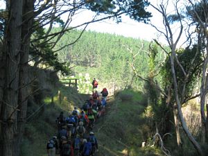 Image of tn_jamuriwaimay08fltrack.jpg