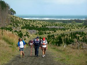 Image of tn_jamuriwaimay08fotrack.jpg