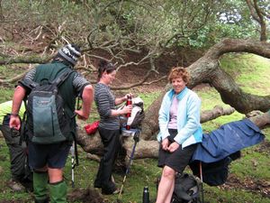 Image of tn_jamuriwaimay08mibreak.jpg