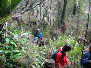 Image of tn_jamuriwaimay08nabush.jpg