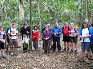 Image of tn_jamuriwaimay08nopa.jpg