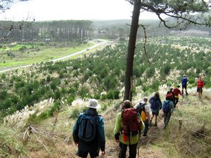 Image of tn_jamuriwaimay08qetrack.jpg