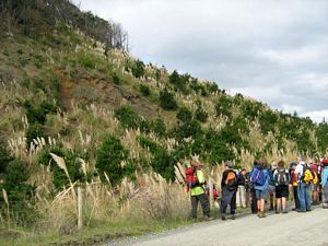 Image of tn_jamuriwaimay08qhpoggy.jpg