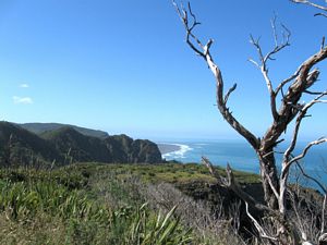 Image of tn_karekarenov08beview.jpg