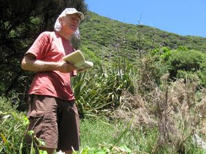 Image of tn_karekarenov08dedevotions.jpg