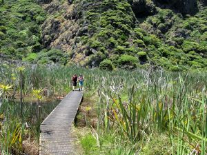 Image of tn_karekarenov08efboardwalk.jpg