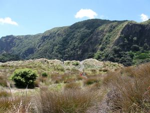 Image of tn_karekarenov08eptrack.jpg