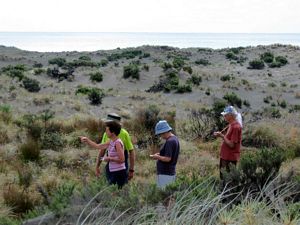 Image of tn_karekarenov08hgexercise.jpg