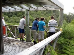 Image of tn_karekarenov08lgdeck.jpg