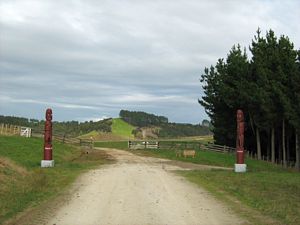 Image of tn_kbatiu08bamaorigate.jpg