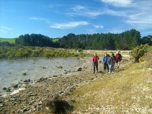 Image of tn_kbatiu08ficoast.jpg