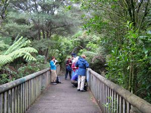 Image of tn_kcglenfield08babridge.jpg