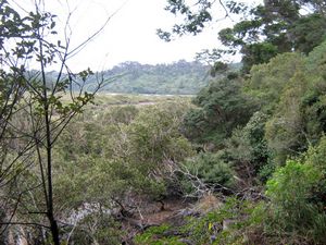 Image of tn_kcglenfield08cdkaipatikicreek.jpg