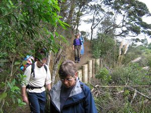 Image of tn_kcglenfield08cftrack.jpg