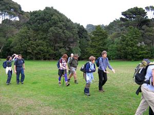 Image of tn_kcglenfield08edgrassium.jpg