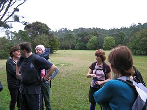 Image of tn_kcglenfield08eegrassium.jpg