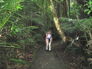 Image of tn_kcglenfield08fbtrack.jpg