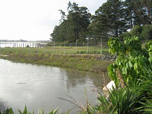 Image of tn_lchighbrook08fbcoast.jpg