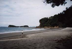 Image of tn_mahurangiabtc02beach.jpg