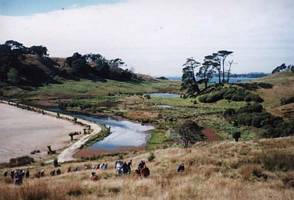 Image of tn_mahurangiabtc02causewayview.jpg