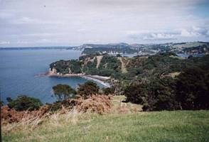 Image of tn_mahurangiabtc02coastview.jpg