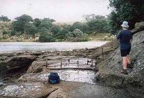 Image of tn_mahurangiabtc02dairybay.jpg