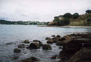 Image of tn_mahurangiabtc02dairybay2.jpg