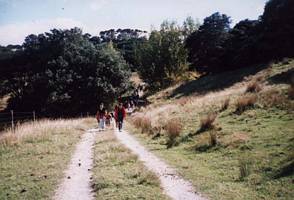 Image of tn_mahurangiabtc02farmroad.jpg