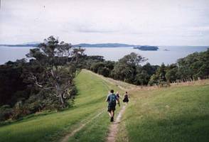 Image of tn_mahurangiabtc02homeward.jpg