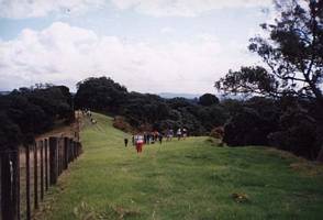 Image of tn_mahurangiabtc02ridge.jpg