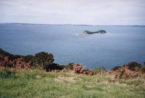 Image of tn_mahurangiabtc02saddleisland.jpg