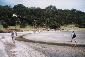 Image of tn_mahurangiabtc02tidalflat.jpg